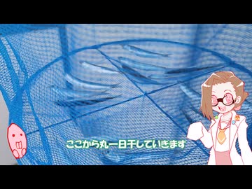 雀botが釣った魚を料理して食べる動画　＃５　サッパとカタクチイワシの干物