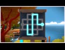 the witness