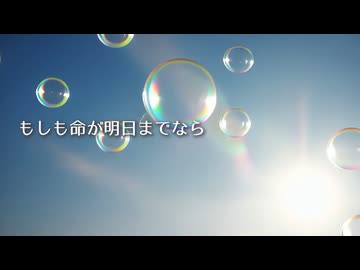 もしも命が明日までなら／しろ98 feat.花隈千冬