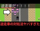 運転免許を取りに行ったら逆走車とバトルになった【全力で運転免許を取りにいく Ｇ】