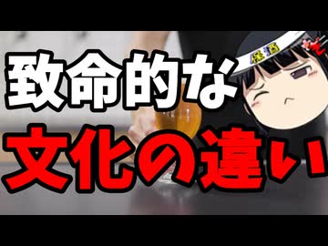 多文化共生と言うものは時に犯罪を生み出す