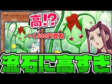 【遊戯王】 逆にこのカードの高騰はホンマなん？？？ 『ナチュル・ローズウィップ』 【ゆっくり解説】