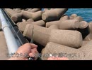 【誰でも大漁お手軽高級魚】穴釣りのすゝめ