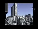 ひかり / 初音ミク, ナースロボ＿タイプT