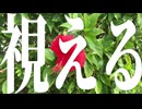 【ボカコレ2025夏】視える ‐ 帽子とパジャマ