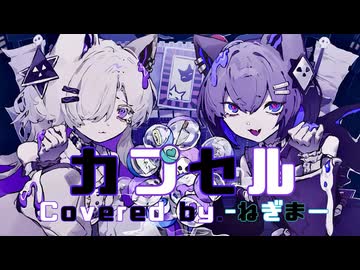 【歌ってみた】カプセル／-ねぎま－(ⁿagi×翠槇ねね)