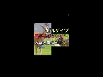 野生動物にウィルス性イボが大量発生　ビルゲイツの蚊か？ワクチンか？　海外SNSふざけるなビルゲイツ