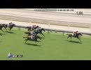 2025 新馬　ヒルデグリム　カウントダウンタイムコード