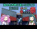 海の生き物に逢いに行こう