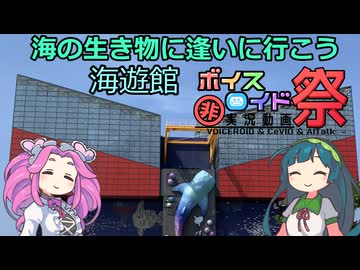 海の生き物に逢いに行こう