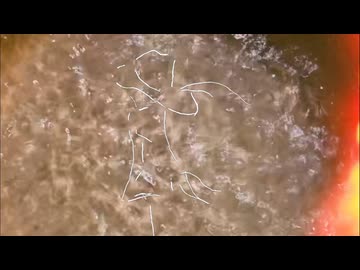 帰ろ！/初音ミク