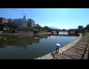 ある日の甲突川～武之橋とその上流近辺とちょっと水の生き物