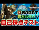 【スト６】これで上手くならないわけがない、モダンサガット自己採点テスト【Ver.2.0000.000】