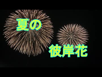 夏の彼岸花　【ギャルゲー車載投稿祭】【第11回ひじき祭】