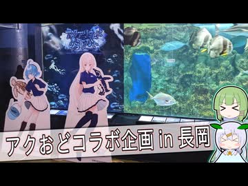 【自作合成音声】アクおどコラボを見てきたたきもとさん家【#魂オリ祭8】