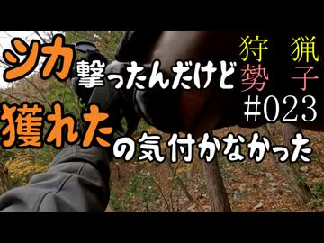 狩猟勢子動画＃023　シカ撃ったんだけど獲れたの気付かなかった