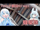 2025年8月23日　農作業日誌P1461　午前中は柿畑で耕し、午後は蜂を駆除したよ