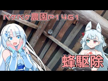 2025年8月23日　農作業日誌P1461　午前中は柿畑で耕し、午後は蜂を駆除したよ