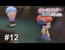 一体いつからこの町にカンポー屋があると錯覚していた？【ポケモンBDSP シャイニングパール】# 12