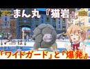 【ポケモンSV】ご注文は『猫岩』ですか？【ゴローニャ】