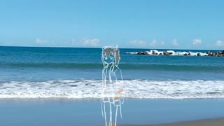 足立レイ『熱り』 のサムネイル
