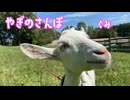 やぎのさんぽ　ぐみ