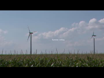 downergirl - 痛む、夏（feat.知声）