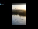 【睡眠用BGM・環境音】　-　さざ波　/　BGM and environmental sound for sleep - Ripple