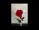 Rosa / Liam