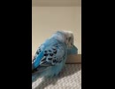 ある日の団欒