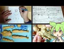 【等身大】ドラゴンボール 孫悟空さんを自作「設計編」【ずんだもん実況】Part01/08
