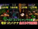 【スーパードンキーコング】埋まったバナナ解説【レベル1 コンゴジャングル編 全53か所】