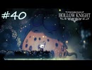ムダにビビりながらゆく『ホロウナイト』part40