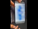 video_575600063053824464-9XRcNIHw