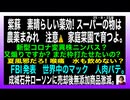 25・8・23夜　凄いよ　紫蘇! 家の中でも　育つよ。自分で育てるのが　1番□□□