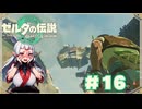 【ティアキン】カカリコ村のワッカ遺跡気持ちよすぎだろ#16【ゼルダの伝説 ティアーズオブザキングダム】