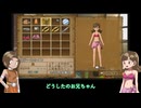 Wii版DQ10オフラインモードを遊ぶ Part8【VOICEVOX実況】