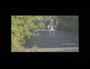 Thermally Broken Memories / IA
