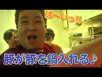 豚disco