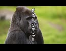 ダンッ！シャリッ！