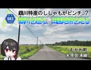 特産ししゃもが危うい鵡川と並行する道路　北海道道983号「米原田浦線」　むかわ町　北海道ドライブ動画