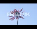 slow motion close-up of a purple echinacea flower bobbing in the wind