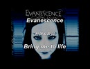 Evanescence/bring me to life
