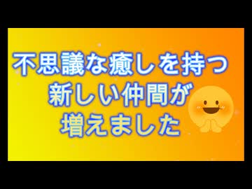新しい仲間が増えたぞ！