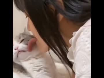 ホモと見る舐められて嫌そうにするネコ