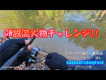 GW 放流大物チャレンジ!!