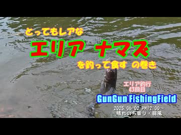 とってもレアなエリアナマズを釣って食す！