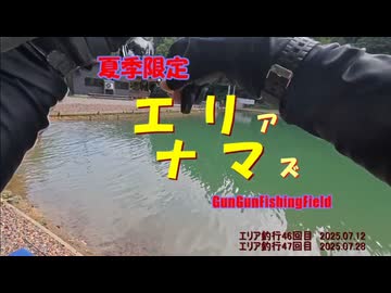 夏季限定！ エリアナマズ