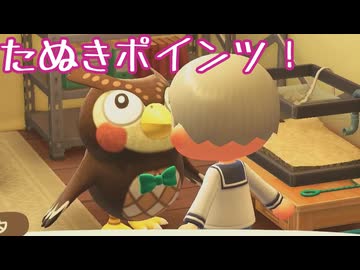 【あつまれどうぶつの森】博物館の展示品を増やす【声実況】