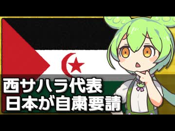 日本が西サハラ代表団に活動自粛を要請した件について